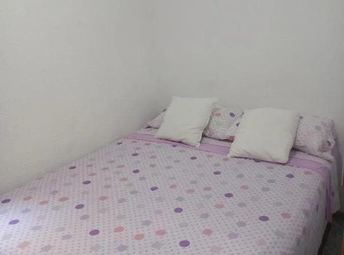 Pequena En Piso Compartido Con 2 Adultos * Valenza